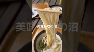 美味しさの沼！キングオブ讃岐うどんのつきみやまが美味すぎる【山越うどん】 #讃岐うどん #vivasnut #インディーズ #shorts