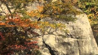 平丸の紅葉－妙高ニュース