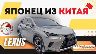 LEXUS NX300h. Японский гибрид из Китая. Обзор. Сложно ли сейчас привести?