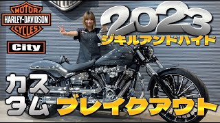 【最強カスタム】2023年ブレイクアウトのギンギラメッキ超カスタム’’トドメは’’【ジキルマフラー】