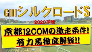 シルクロードステークス 2020 予想 解説 シルクロードS 前走レース 参考レース解説 レッドアンシェル ディアンドル カラクレナイ　傾向