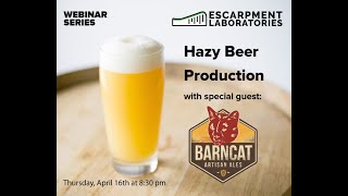 Hazy Commercial Beers with Barncat Artisan Ales