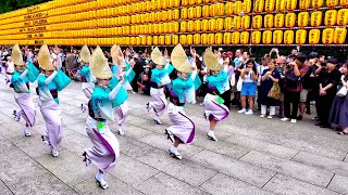 Walk in shrine lantern festivals \