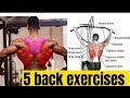 5 Exercises To Build A Big Back-Qim Fitness  Motivation | 04 Episode