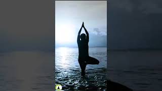 Meditation Relax Music, Yoga Music, Calm Music, Peaceful Piano Music, Soothing Relax Music