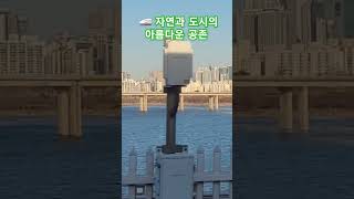 🚄자연과 도시의 아름다운 공존(Beautiful Coexistence of Nature and City)