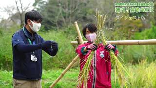 水海道あすなろの里 稲刈り体験MOVIE 2021　ダイジェスト版