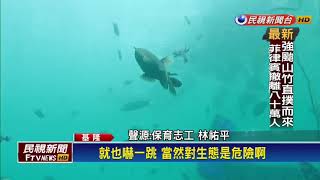 基隆潮境保育區成魚墳場 流刺網纏繞珊瑚、魚類－民視新聞