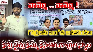 గొర్రెలను మింగిన అనకొండలు.. కళ్లు బైర్లు కమ్మే కెసిఆర్ గొర్రెల స్కాం |KCR Sheep Scheme Scams