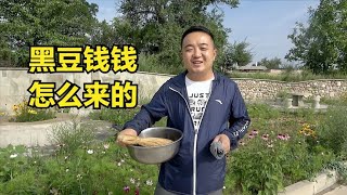 陕北农村小伙碾黑豆，必备三大件你们知道是啥？小姨子二英真会说【陕北景向龙】