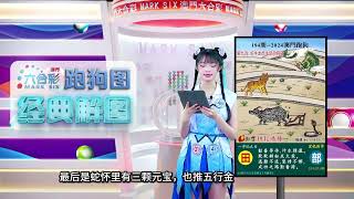 第194期 --【澳门跑狗图】西施精准解码，带你轻松看懂今期跑狗图 😉