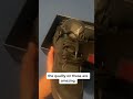 #DHgate DHGATE JORDAN 4 BLACK CAT UNBOXING & REVIEW #shorts #shoes #fyp #viral