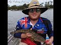 Sunshine Coast Flatheads. -Noosa River - #MFJ - Fishing