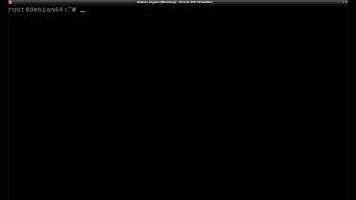 How to run a Python program directly using Linux