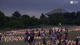 「なら燈花会」始まる　奈良公園