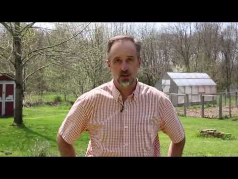 How to find your septic system tank? How to find your septic system tank?