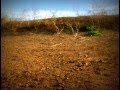 Tierras Secas de Brasil: la promesa de agua