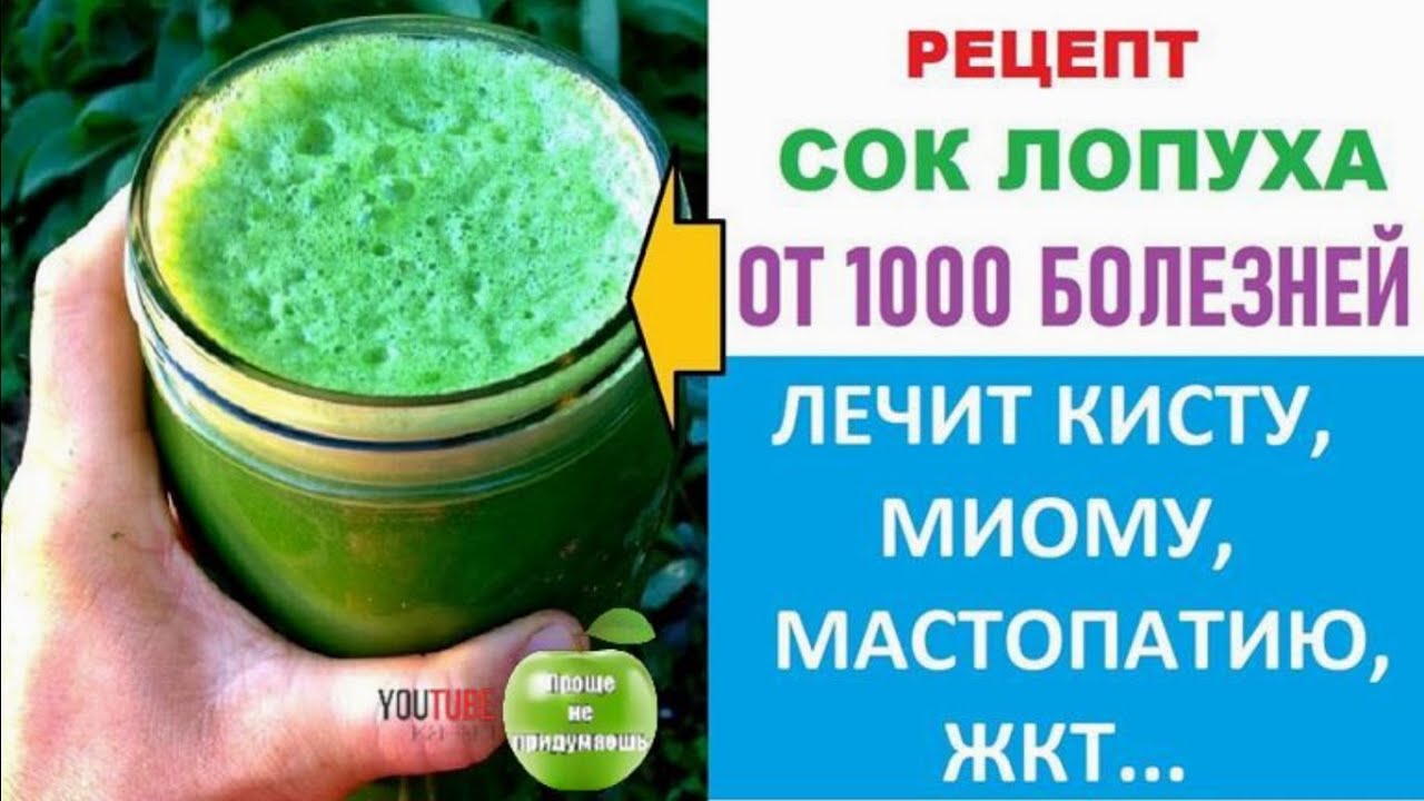 Листья Лопуха Где Купить