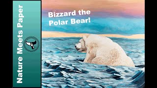 Blizzard the Polar Bear - 5:10 - Nature Meets Paper