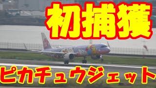 【チャイナエアラインのピカチュウジェット初捕獲】2022.10.16　羽田空港　China　Airlines（Pikachu　Jet Livery)　A321neo B-18101