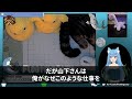 【感動する話】40歳独身の窓際社員の俺。本社から異動して来た年下美人上司に資料を手渡すと「あなたホントに平社員？」→この後、俺の人生が180度変わることに…【スカッと感動】