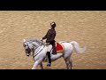 The Spanish Riding School of Vienna