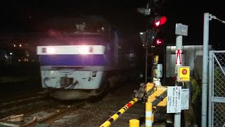 【EF210 桃太郎】EF210-119牽引 貨物列車 5071レ 2017年11月16日 花月園前踏切