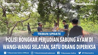 Polisi Gerebek Judi Sabung Ayam di Desa Kolo Wangi Wangi Selatan Wakatobi Sulawesi Tenggara