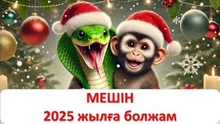 МЕШІН жылғыларға 2025 жылға жұлдыз-жорамал