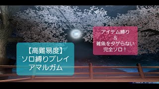 TORAM2005【高難易度ソロ縛りプレイ】アマルガム討伐！