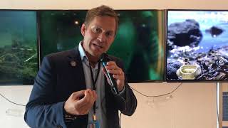 #SwedeninUNSC vlog to #SaveOurOcean: Joakim Odelberg on his film installation on ocean plastics