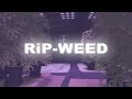 RiP-Weed | Advanced Weed Farms | FiveM Script by RiP Development