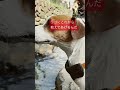 【初水遊び】兄犬のテンションとは真逆。動かない子犬フレンチブルドッグhilarious puppy in the water for the first time shorts 　 あしゅらご