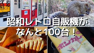 【昭和レトロ自販機】相模原で昭和レトロ自販機とリス公園の旅