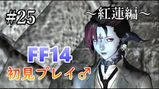 【FF14/#25】 メイン進めまする 【温かな歓待～】