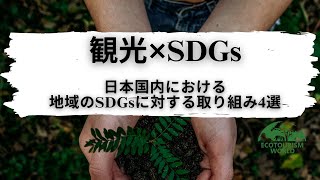 【観光×SDGs】日本国内における地域のSDGsに対する取り組み4選