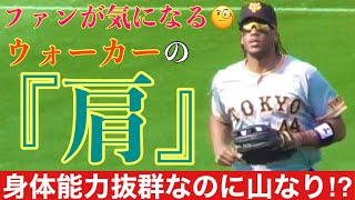 【疑問】アダム・ウォーカーの肩【身体能力抜群】