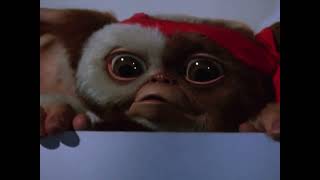 Gremlins 2 but, only gizmo on the screen (fixed)