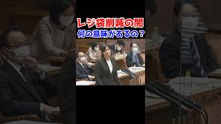 【小野田紀美】レジ袋削減の闇に切り込む小野田紀美〜これって何の意味があるの？〜【小野田紀美議員のエピソード48】