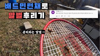 배드민턴채로 말벌 후려잡기 Hit wasps with a racket.