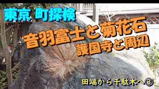 【東京町探検】水窪川の暗渠に沿って① 護国寺とその周辺