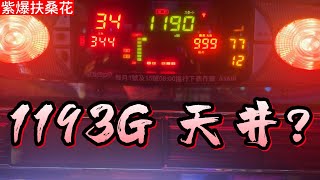 紫爆扶桑花 1193G 天井?