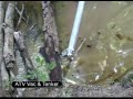 elastec oil spill cleanup in illinois woods how do you clean an oil spill