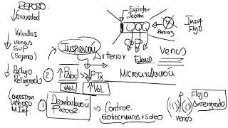 6  INSUFICIENCIA VENOSA PERIFERICA