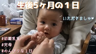 【生後5ヶ月】赤ちゃんの1日の過ごし方【初めての離乳食】