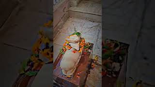 Mahashivratri Special ||| Jai Dinu baba ji 🐍 Har Har Mahadev 🔱🙏❤️🚩