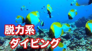 肩の力を抜いて、気楽にダイビングを楽しみませんか？？｜ビーチライフ石垣島