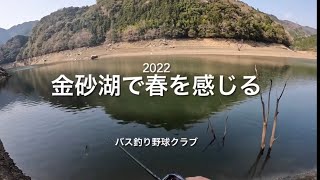 金砂湖で春バスを頂きます。