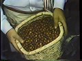 1972 Juan Valdez Picks Coffee Beans TV Commercial