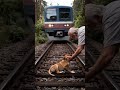 🚨 heroic rescue old man saves dog from speeding train 😱🐶 shorts